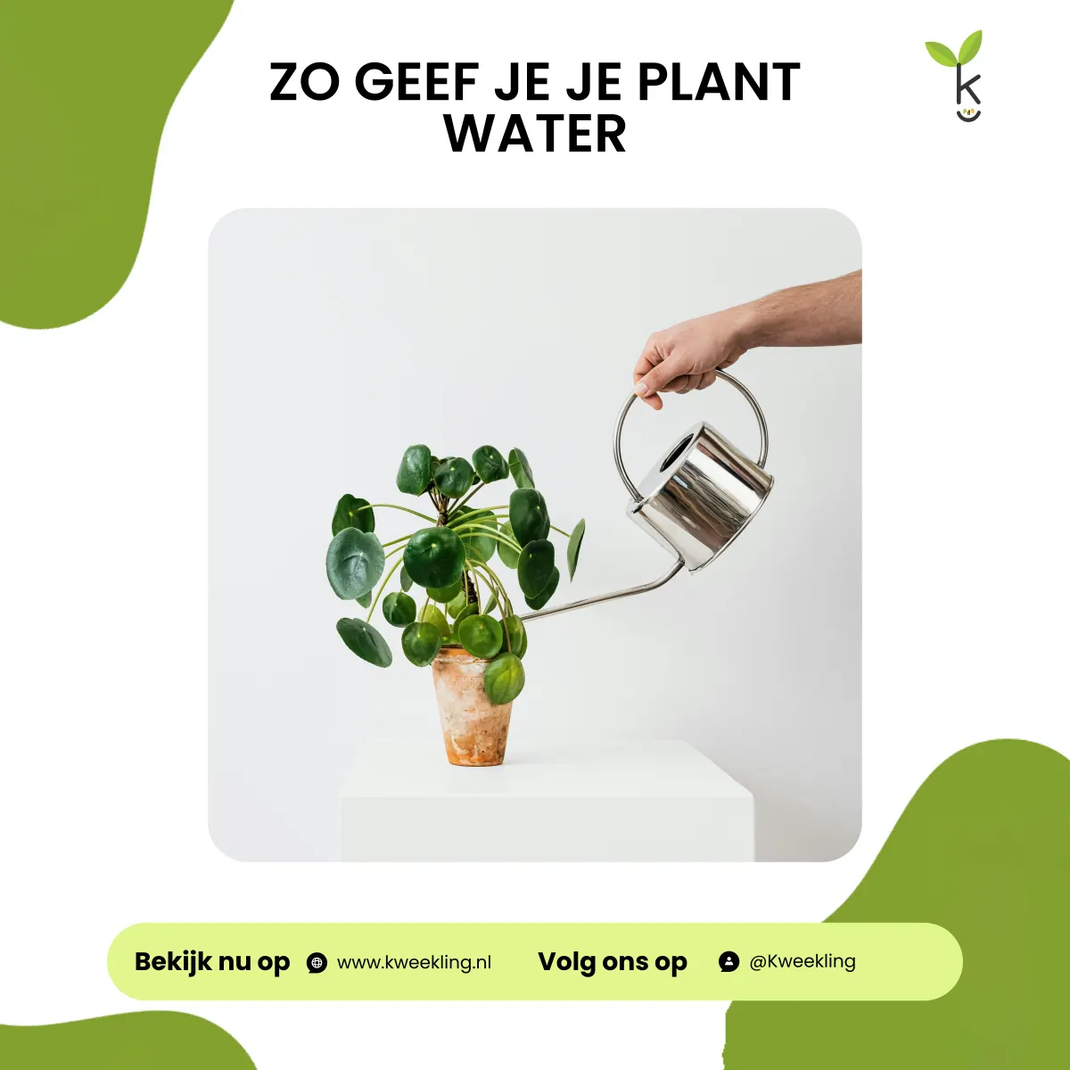 Hoe moet ik mijn kamerplant water geven