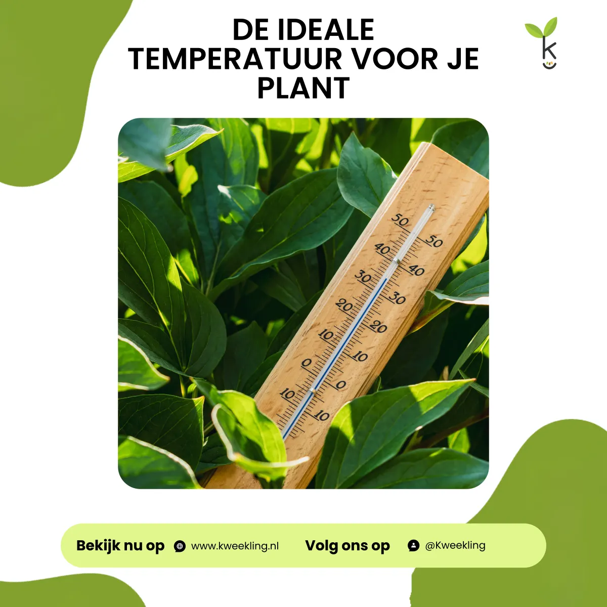 De juiste temperatuur voor je kamerplant bepalen