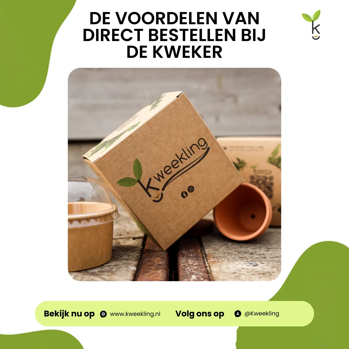 De voordelen van direct bestellen bij de kweker