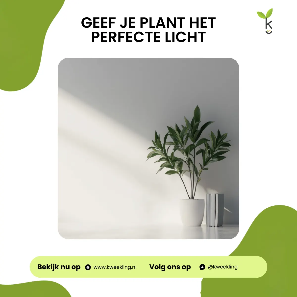Hoeveel licht mag je kamerplant krijgen?