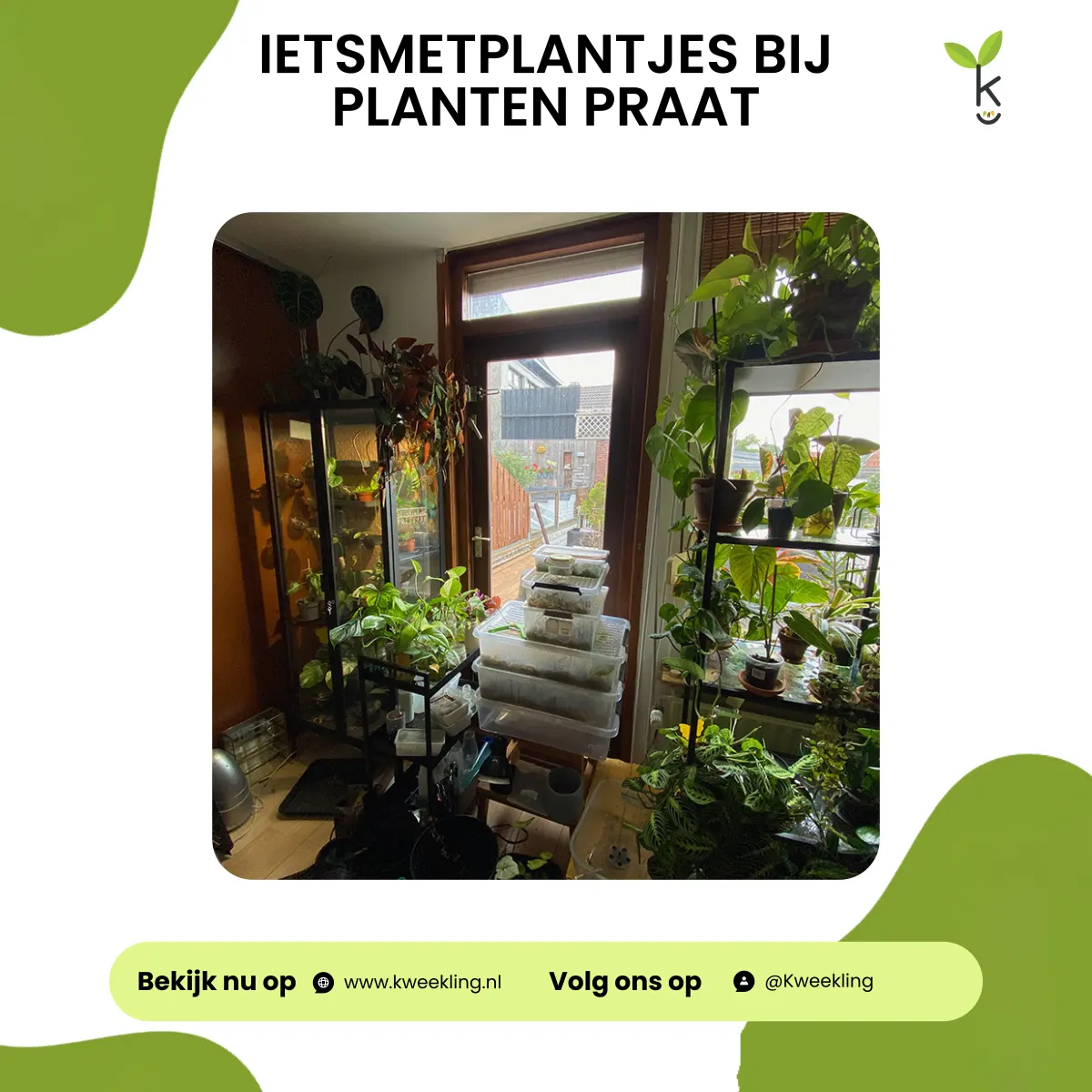 Ietsmetplantjes bij Planten Praat