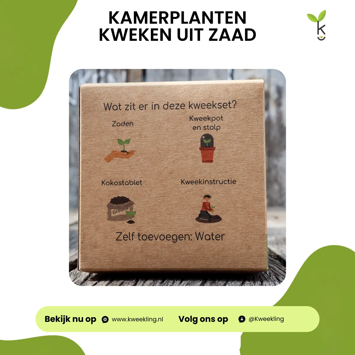 Kamerplanten kweken uit zaad