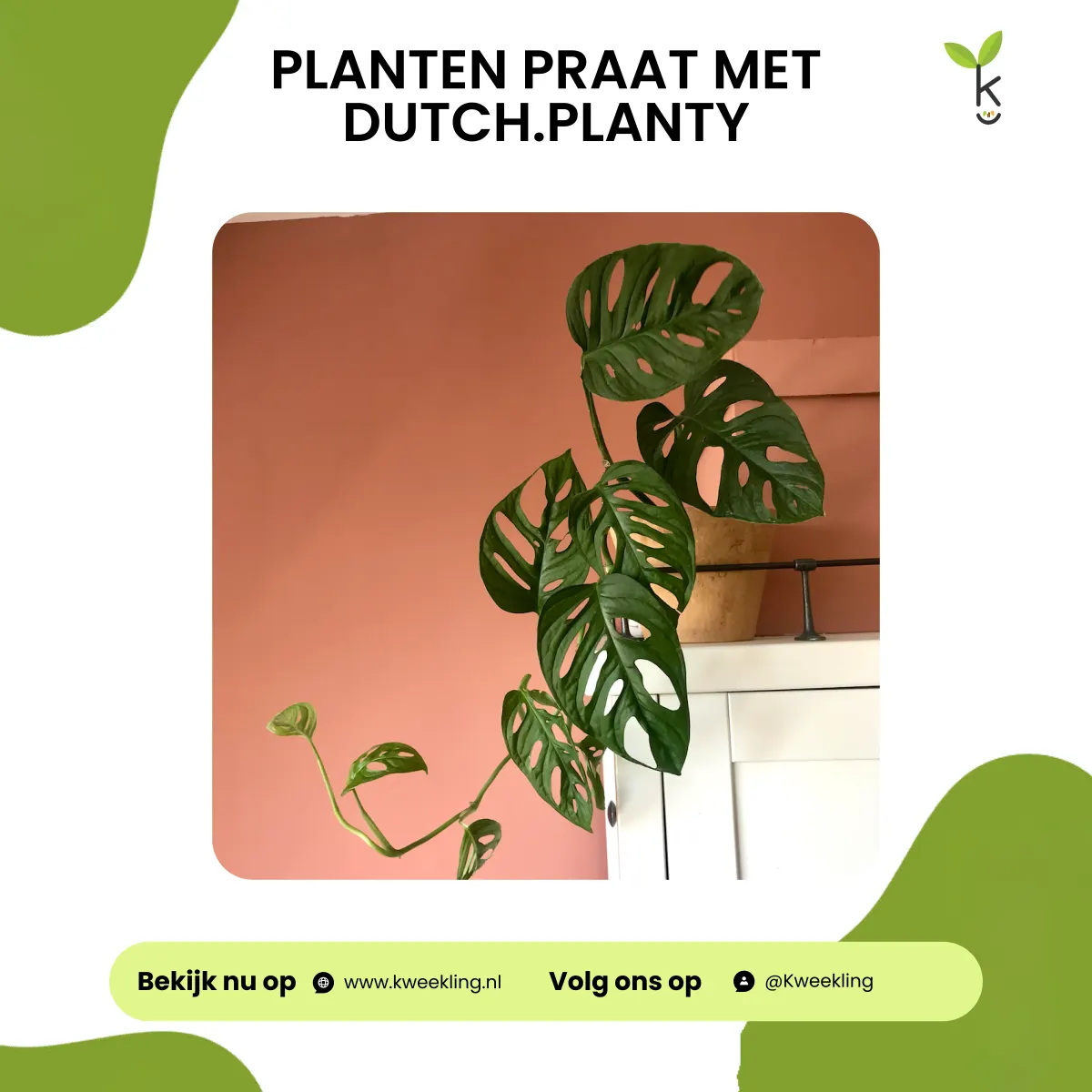 Planten Praat met Dutch.Planty